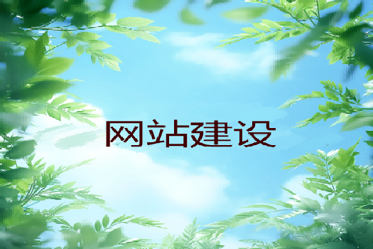 青島哪家網(wǎng)站制作公司更為專(zhuān)業(yè)